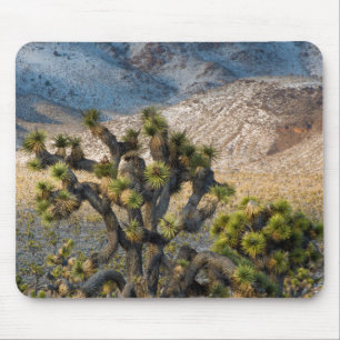 Snow In Death Valley Mouse Mat