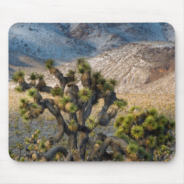 Snow In Death Valley Mouse Mat (Front)
