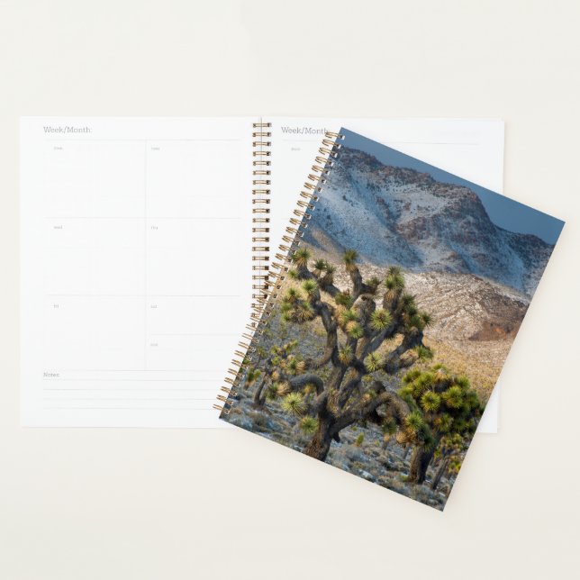 Snow In Death Valley Planner (Display)