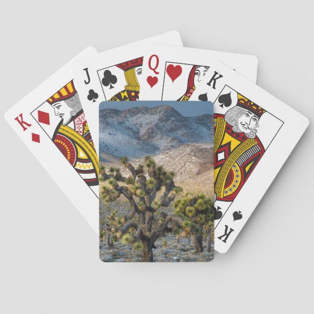 Snow In Death Valley Playing Cards (Back)