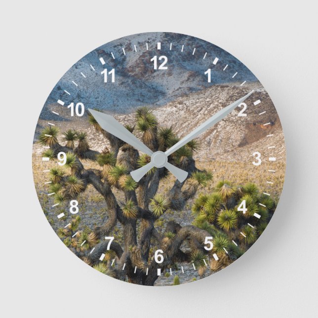 Snow In Death Valley Round Clock (Front)