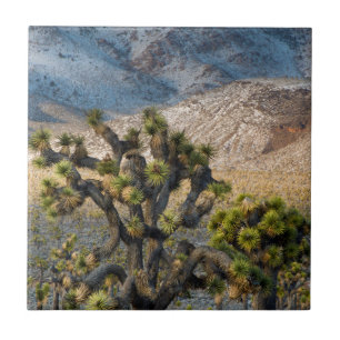 Snow In Death Valley Tile
