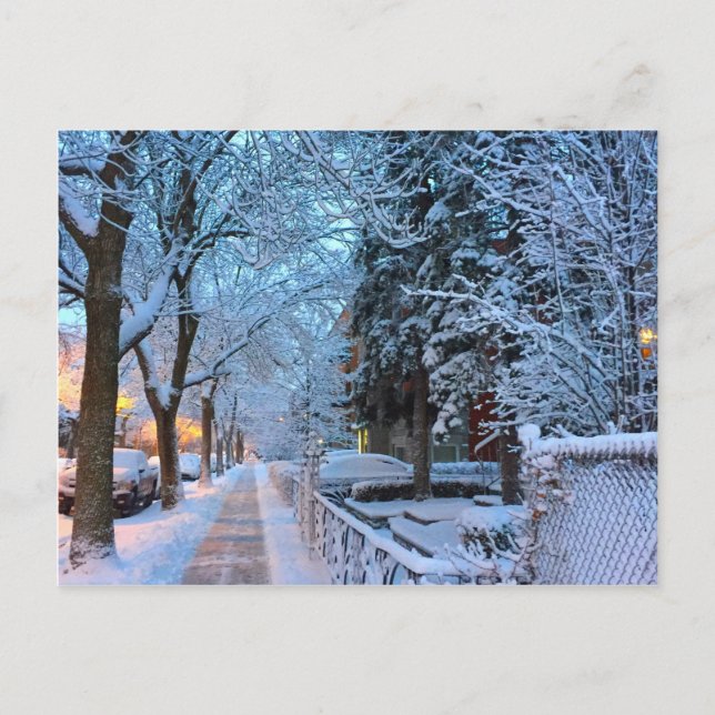 Snow in Montreal Postcard (Front)