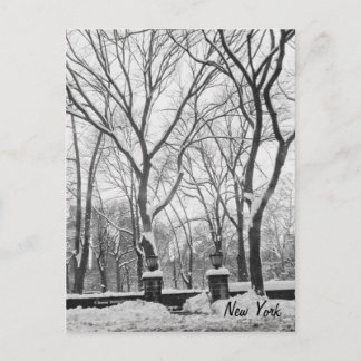 Snow in New York Postcard