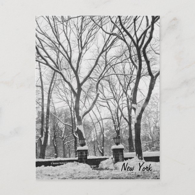 Snow in New York Postcard (Front)