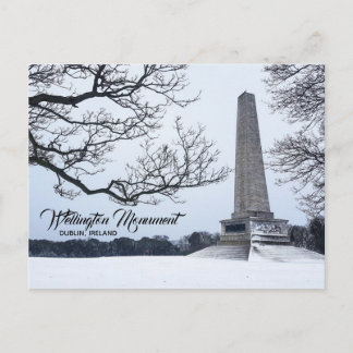 Snow in Phoenix Park, Dublin, Ireland Postcard