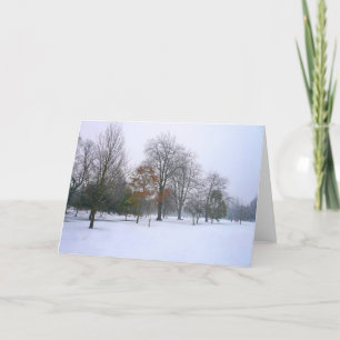 Snow in the Park, Bute Park, Cardiff, Wales Holiday Card