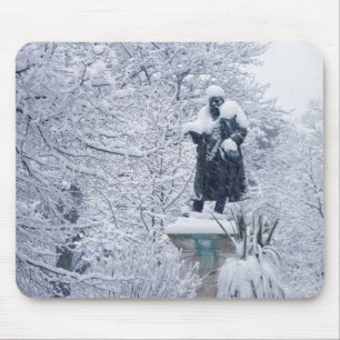 Snow in the Park Mouse Mat