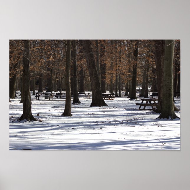 Snow in the Park Poster (Front)