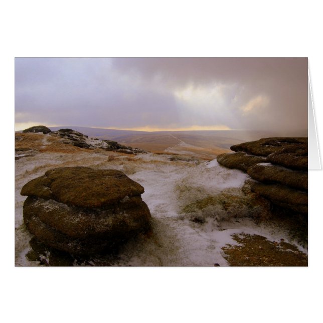 'Snow Kised Steeperton' (Front Horizontal)