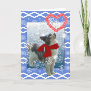 Snow kitty, Valentine Holiday Card