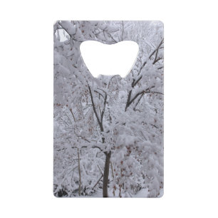 Snow-Laden Trees