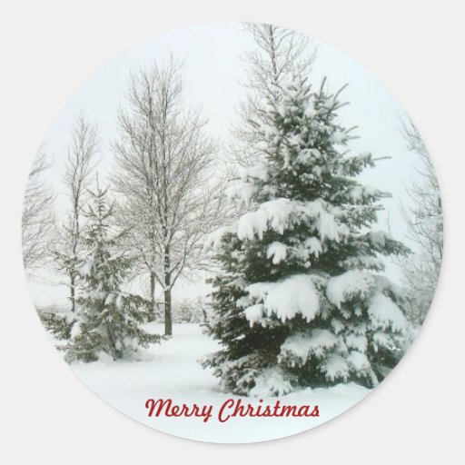 Image of Snow-Laden Trees, Merry Christmas Classic Round Sticker