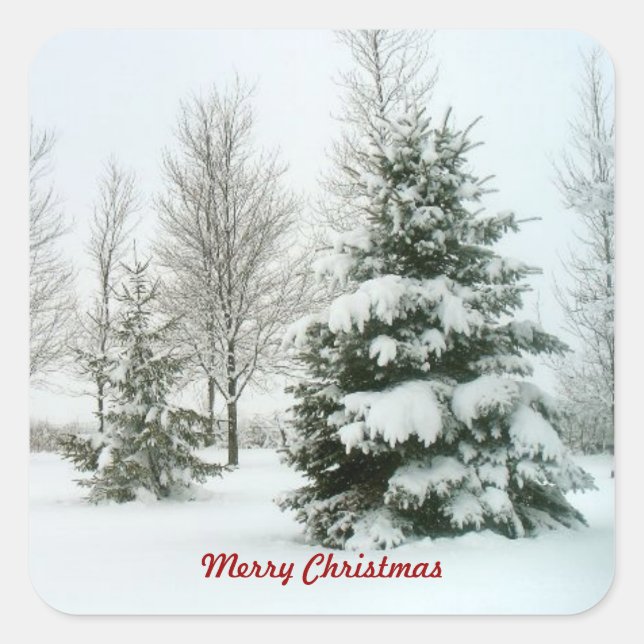 Snow-Laden Trees, Merry Christmas Square Sticker (Front)