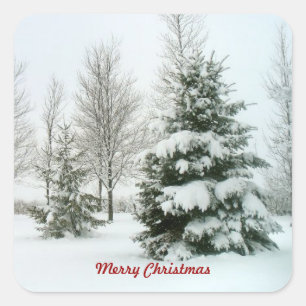 Snow-Laden Trees, Merry Christmas Square Sticker