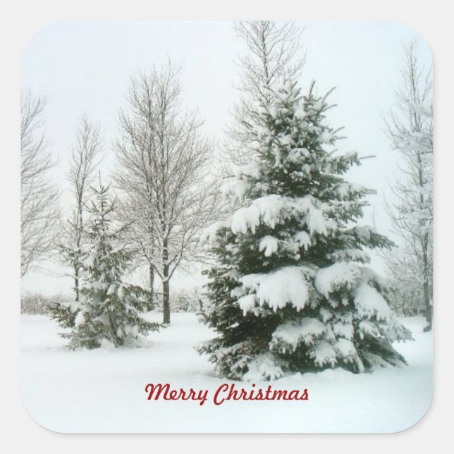 Snow-Laden Trees, Merry Christmas  Square Sticker (Front)