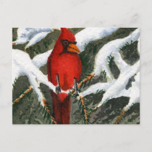 Snow Landscape Print Postcard