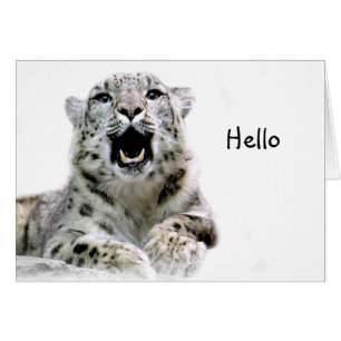 Snow Leopard