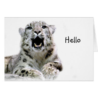 Snow Leopard