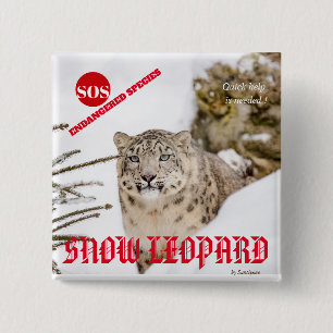 Snow Leopard 15 Cm Square Badge