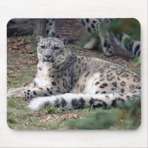 snow leopard 26 mouse mat