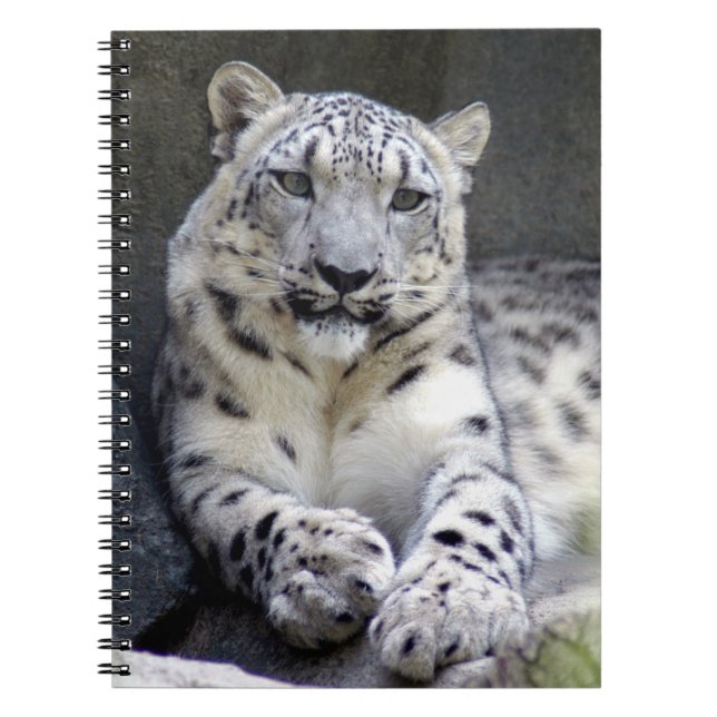 snow leopard 27 notebook (Front)