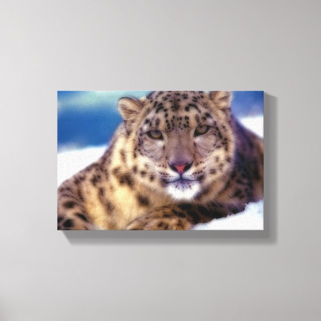 Snow Leopard 2 Canvas Print (Front)