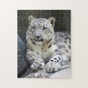 snow leopard 6 jigsaw puzzle