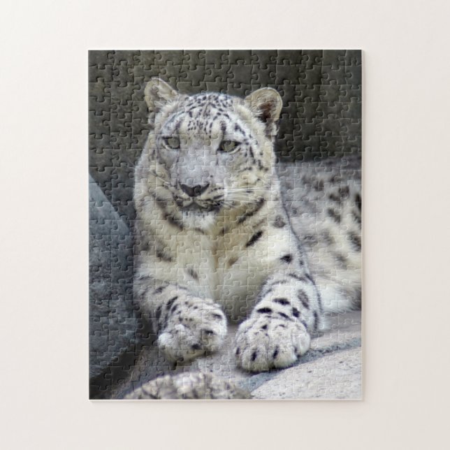 snow leopard 6 jigsaw puzzle (Vertical)