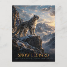 Snow Leopard Alpine Highlands ANIMALS