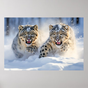 Snow Leopard Animal Nature Majestic Wild Poster