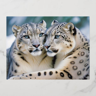 Snow Leopard Animal Nature Wildlife Affection Cari Foil Holiday Postcard