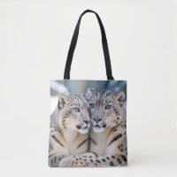 Snow Leopard Animal Nature Wildlife Affection Love