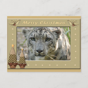 Snow Leopard-BCR-c-158 copy Postcard