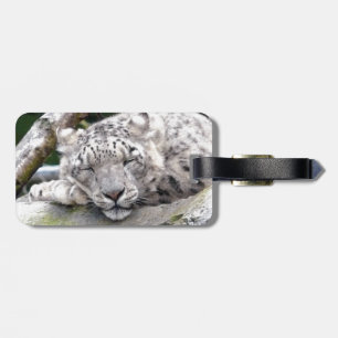 Snow Leopard - beautiful! Luggage Tag
