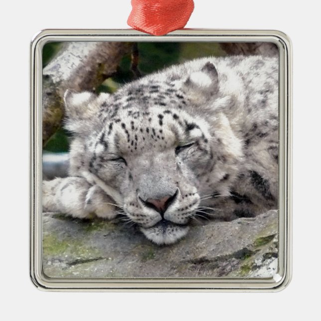 Snow Leopard - beautiful! Metal Tree Decoration (Front)