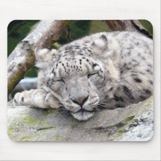 Snow Leopard - beautiful! Mouse Mat