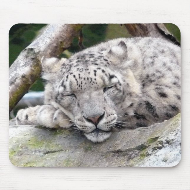 Snow Leopard - beautiful! Mouse Mat (Front)