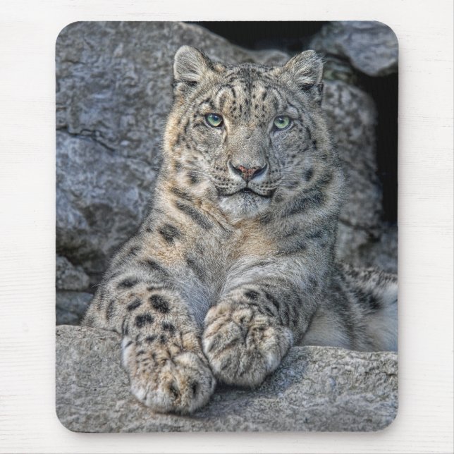 Snow Leopard Beauty Mousepad (Front)