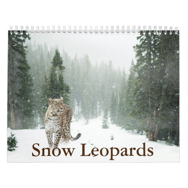 Snow Leopard Calendar (Cover)