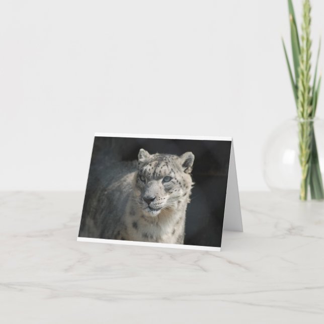 Snow Leopard Card (Front)