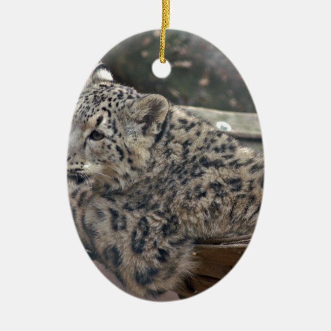 Snow Leopard Ceramic Tree Decoration (Front)