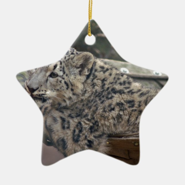 Snow Leopard Ceramic Tree Decoration (Front)