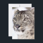 Snow Leopard Christmas Card<br><div class="desc">This unique Snow Leopard Christmas card,  is perfect for those who love wildlife and animals. Especially those who love big cats. This Christmas card is a unique Christmas card,  which brings some feline magic to your Christmas!</div>