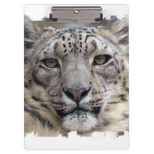 Snow Leopard Clipboard