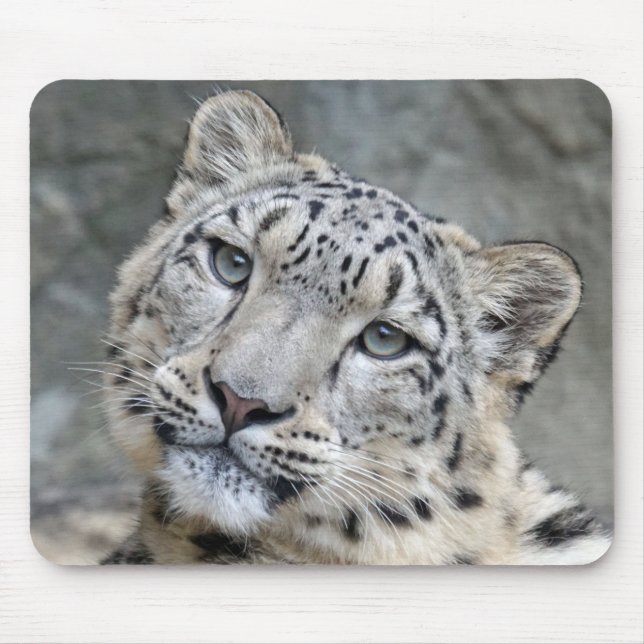 Snow Leopard Closeup Face  Mouse Mat (Front)