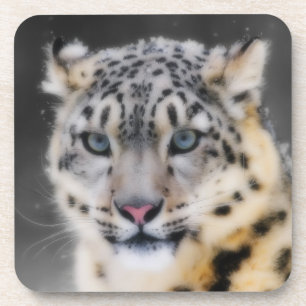 Snow Leopard Coaster