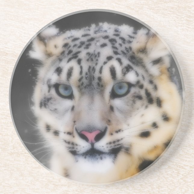 Snow Leopard Coaster (Front)