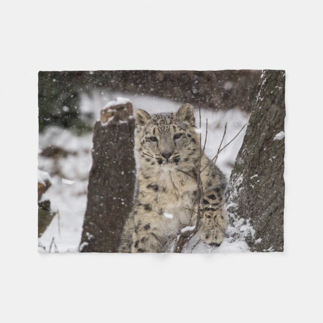 Snow Leopard Cub Fleece Blanket (Front (Horizontal))