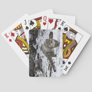 Snow Leopard Cub Stalking Birds Playing Cards